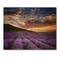 Designart - Sunrise & Dramatic Clouds Over Lavender Field X - Farmhouse Print on Natural Pine Wood
